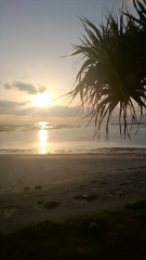 15_0327tm_R(3)