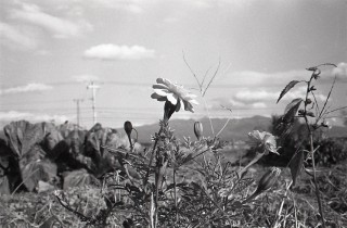 20151024image4